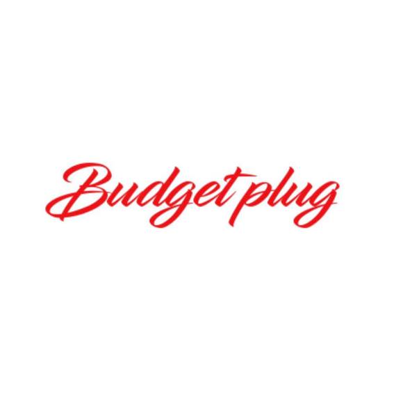 thebudgetplug